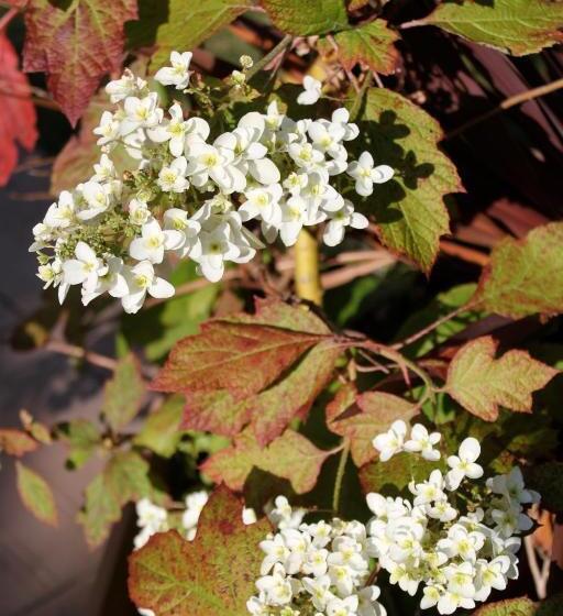 مبيت وإفطار Chambre D Hotes Antony