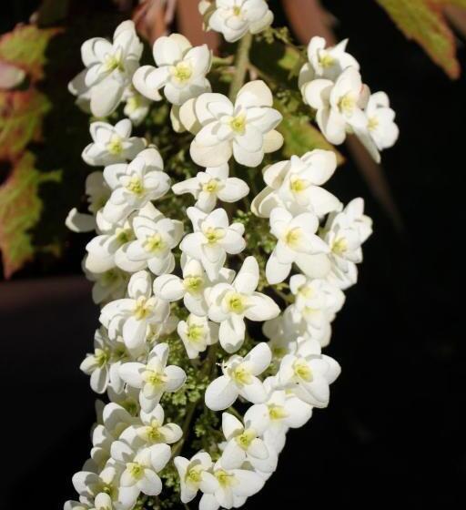 مبيت وإفطار Chambre D Hotes Antony