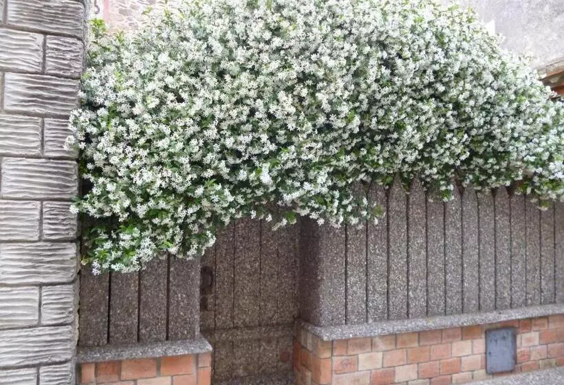 تختخواب و صبحانه Chambres D Hôtes La Rose Des Vents