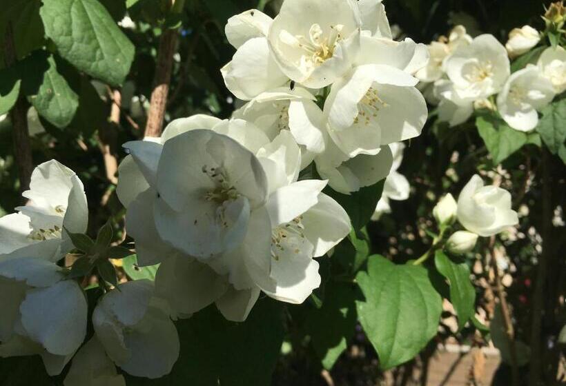مبيت وإفطار Chambres D'hôtes La Maline