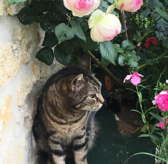 مبيت وإفطار Chambres D'hôtes La Maline
