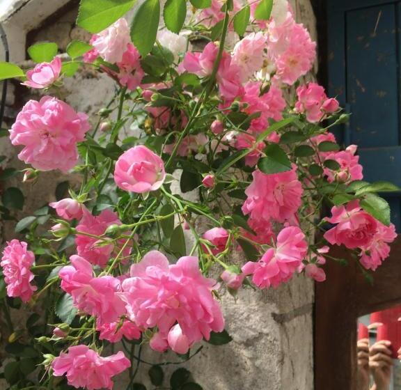 مبيت وإفطار Chambres D'hôtes La Maline