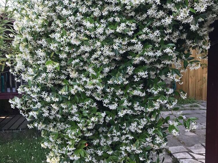 住宿加早餐  Chez Phil Et Dom