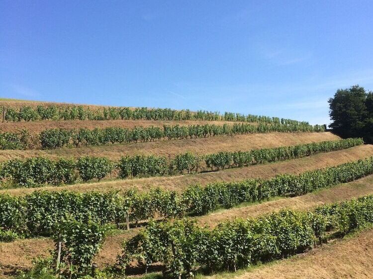 مبيت وإفطار Chambres D Hôtes Le Clos Des 3 Rois