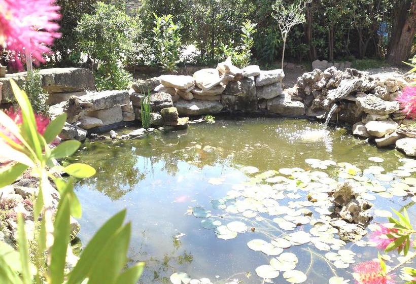 Bed and Breakfast ô Doux S Home