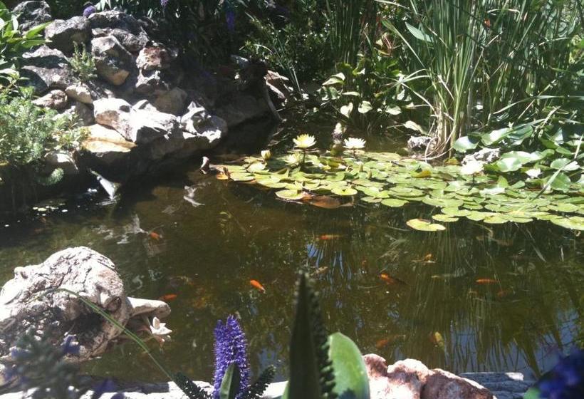 Bed and Breakfast ô Doux S Home