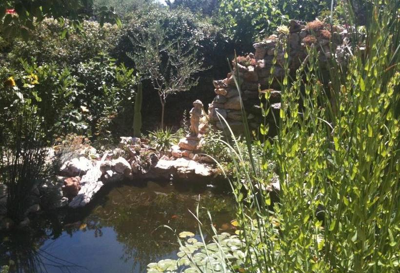 Bed and Breakfast ô Doux S Home