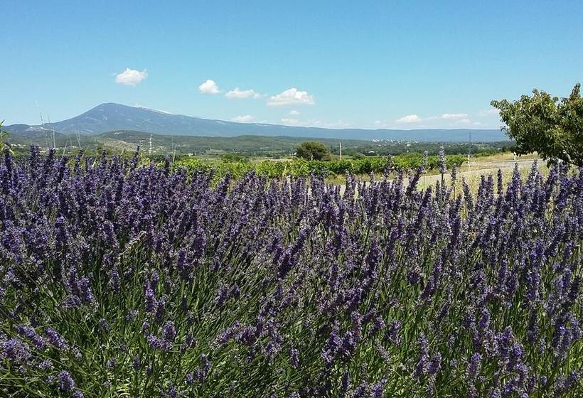 Bed and Breakfast La Dentellière