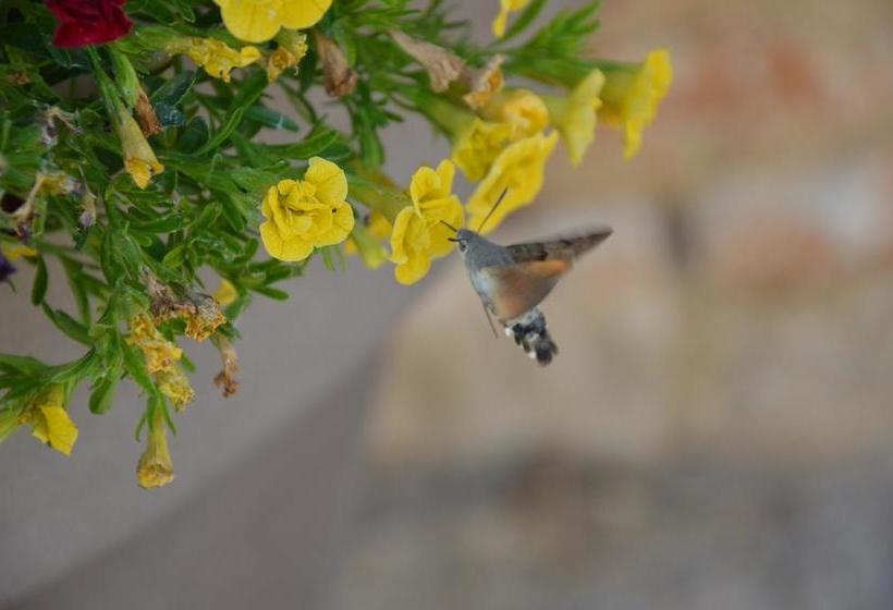Bed and Breakfast La Dentellière