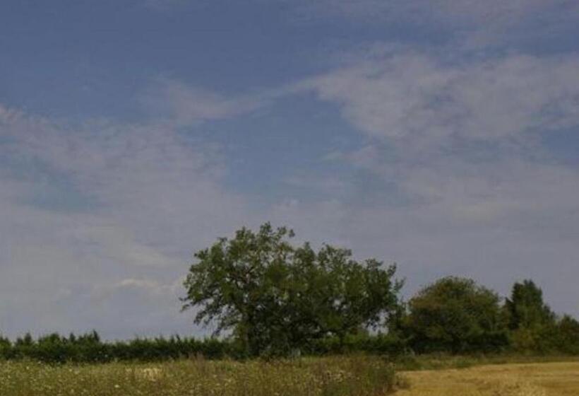 민박 Le Clos Du Murier