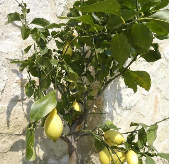 住宿加早餐 Les 4 Elements