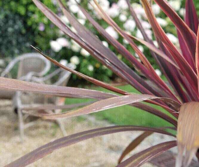 مبيت وإفطار Traou Ar Vilin