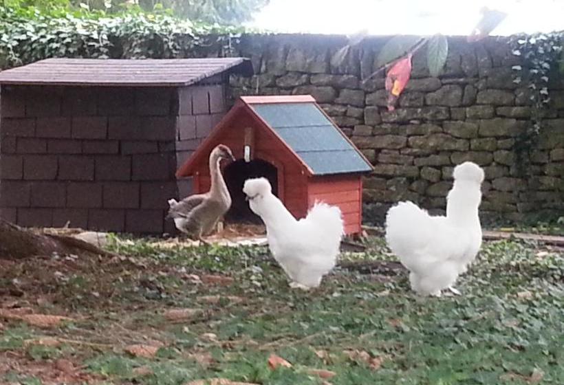 בית מלון כפרי Hôtel Du Roy