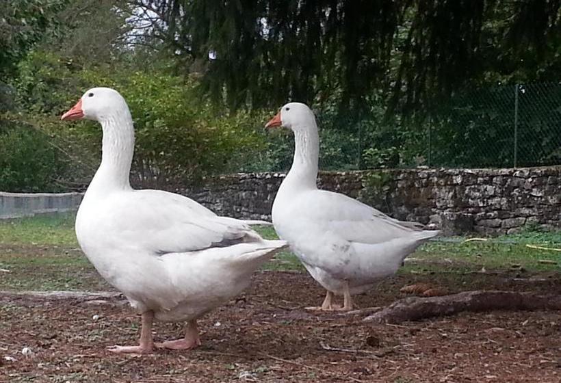 בית מלון כפרי Hôtel Du Roy