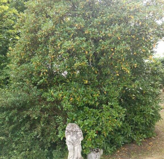 צימר Chambres D'hôtes Manoir De Montecler