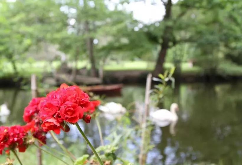 ベッドアンドブレックファースト Château Du Bois De La Noe