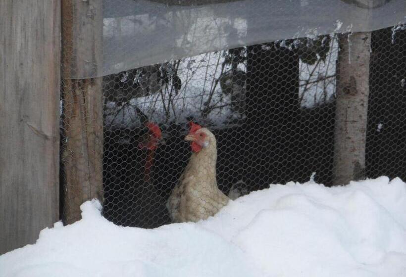 צימר L'atelier De Gisèle