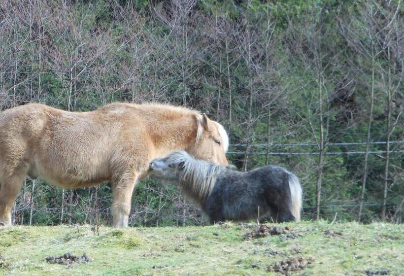 צימר L'atelier De Gisèle