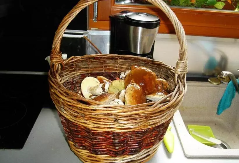 Aamiaismajoitus (B&B) L'atelier De Gisèle