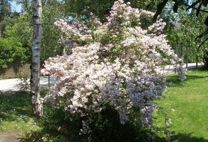 Bed and Breakfast Le Clos Des Perraudières