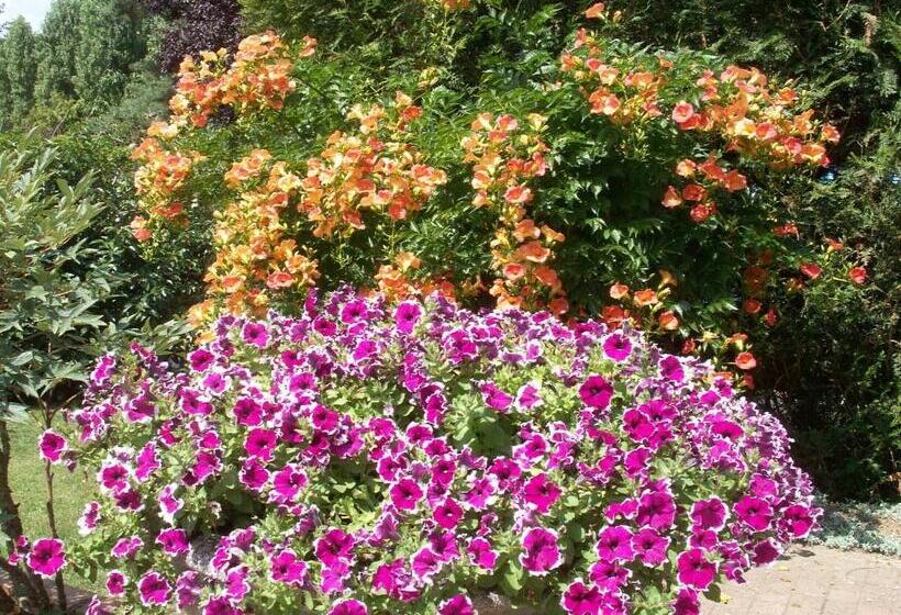 Bed and Breakfast Le Clos Des Perraudières