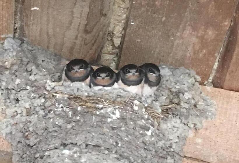 Bed and Breakfast Le Clos Des Perraudières