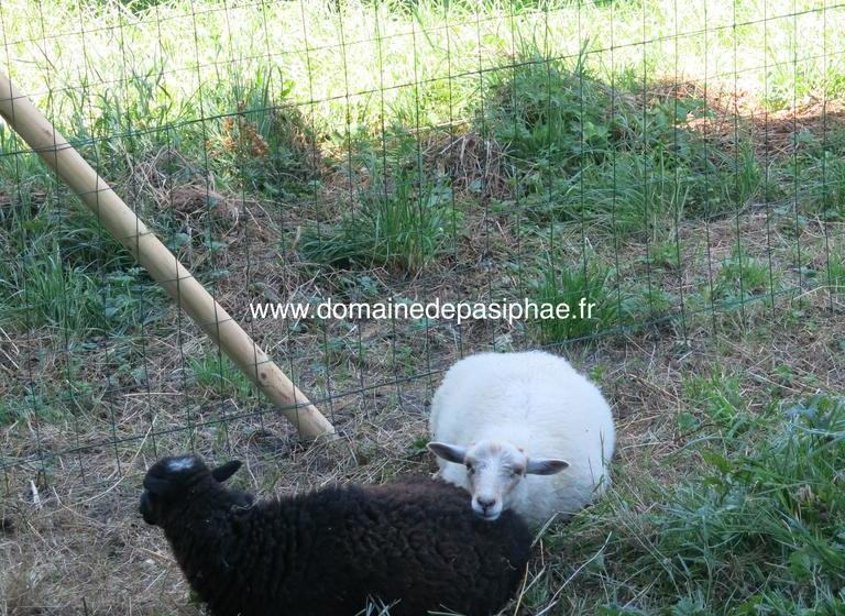 צימר Le Domaine De Pasiphae