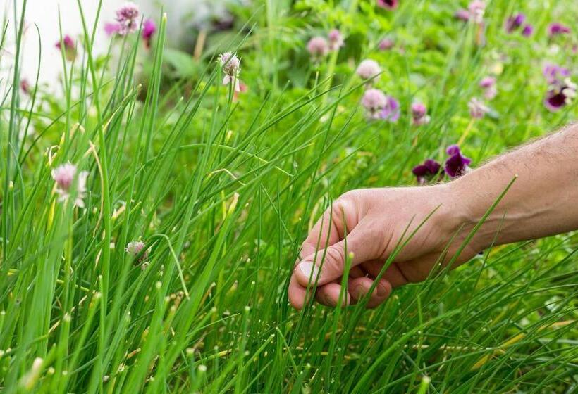 Отель Chalet Hôtel Le Beausoleil, The Originals Relais