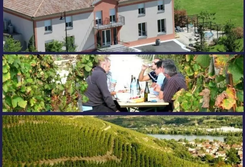Hotelli Le Domaine Des Vignes Ampuis Lyon Sud Vienne