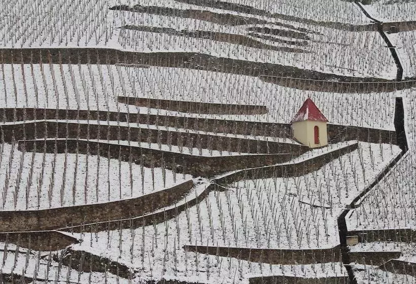Hotelli Le Domaine Des Vignes Ampuis Lyon Sud Vienne