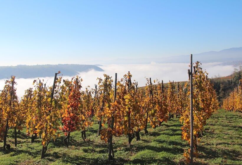 فندق Le Domaine Des Vignes Ampuis Lyon Sud Vienne