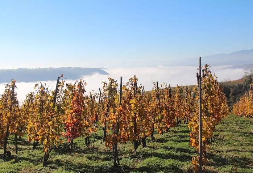 Hotelli Le Domaine Des Vignes Ampuis Lyon Sud Vienne
