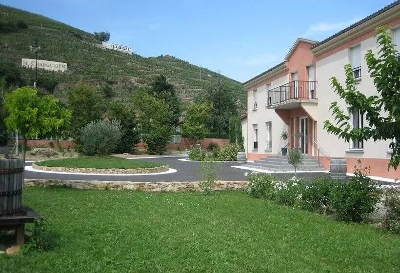 Hotelli Le Domaine Des Vignes Ampuis Lyon Sud Vienne