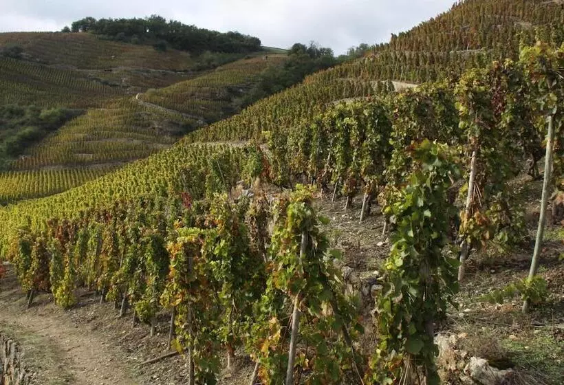 Hotelli Le Domaine Des Vignes Ampuis Lyon Sud Vienne
