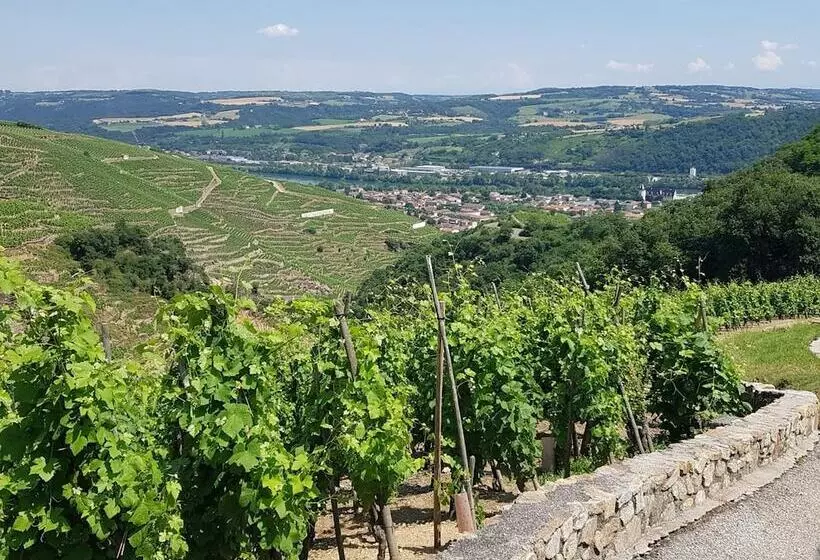Hotelli Le Domaine Des Vignes Ampuis Lyon Sud Vienne