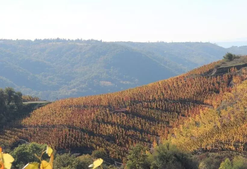 Hotelli Le Domaine Des Vignes Ampuis Lyon Sud Vienne