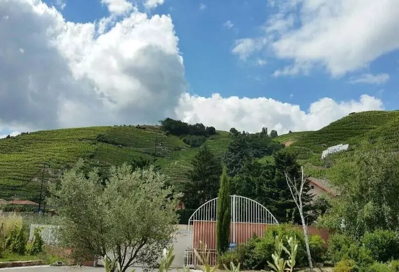 Hotelli Le Domaine Des Vignes Ampuis Lyon Sud Vienne
