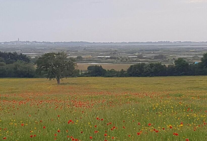 酒店 Les Chants D Ailes Hôtel Face Mer