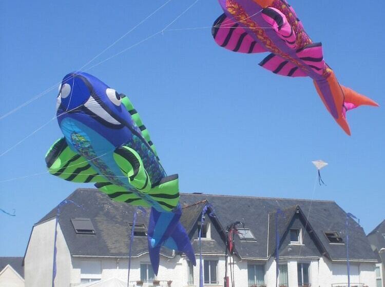 酒店 Les Chants D Ailes Hôtel Face Mer