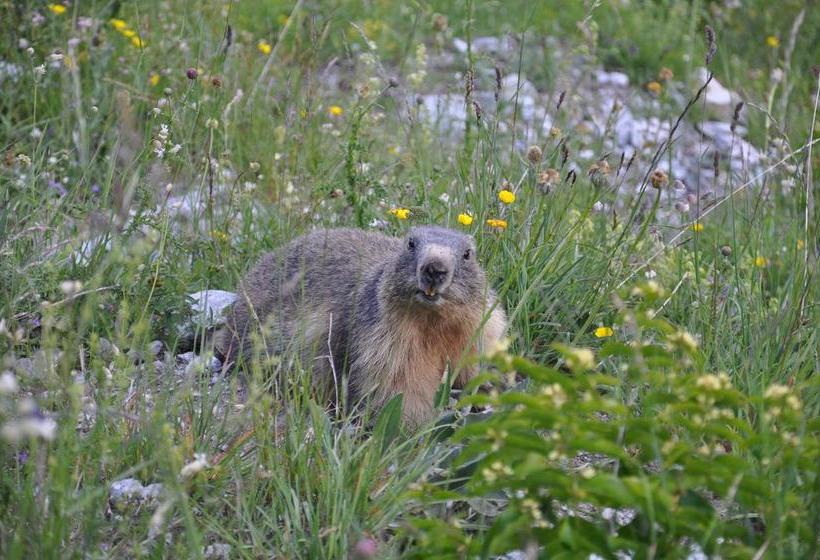 هتل Auberge Saint Antoine