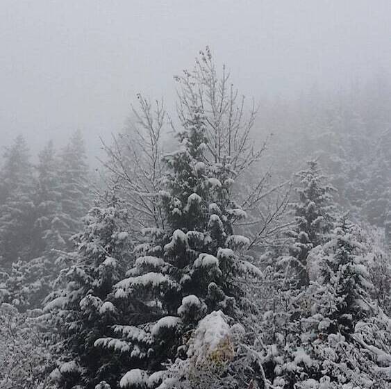 호텔 Hôtel Le Tourisme