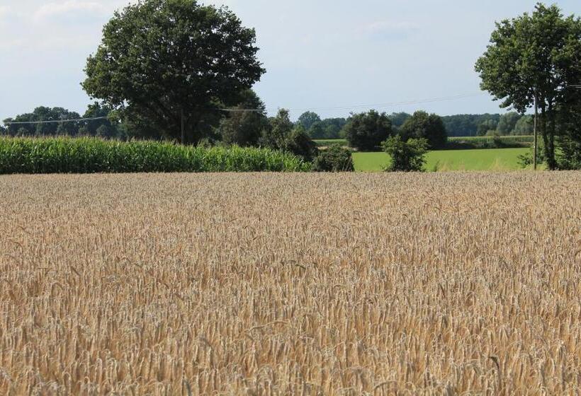 Bed And Breakfast Am Schwatten Berg