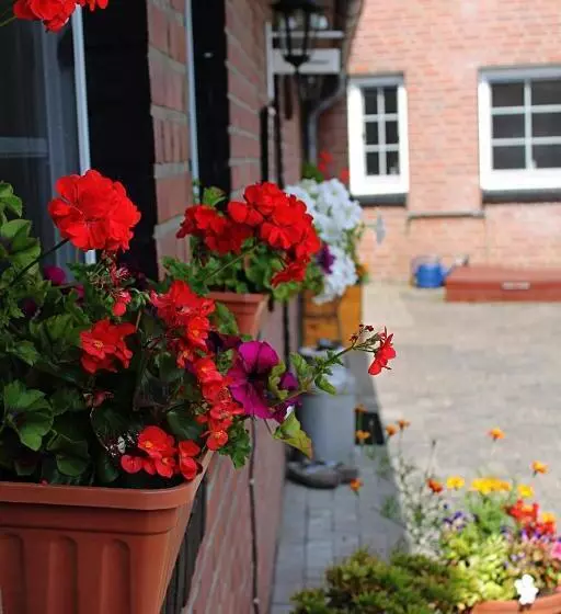 Bed And Breakfast Am Schwatten Berg