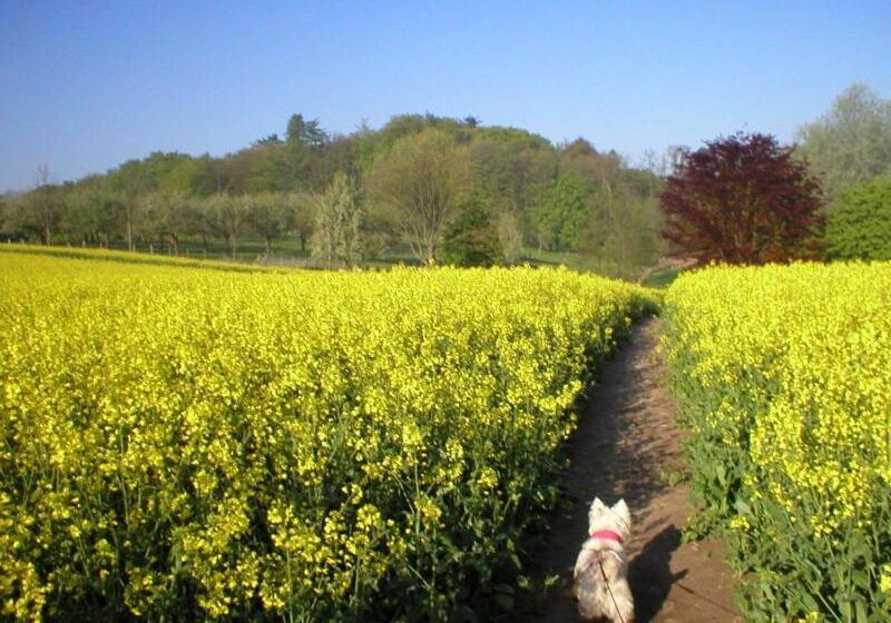 Bed and Breakfast Landhaus Nütschau