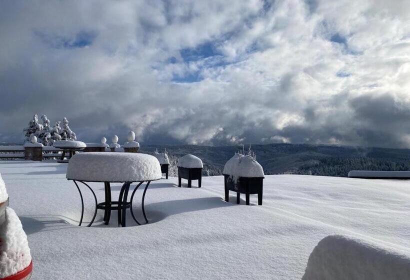 Berghotel Stutenhaus