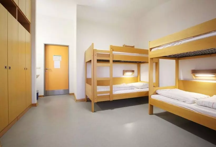Djh Jugendherberge Greifswald   Hostel