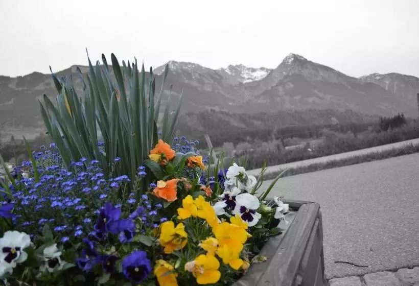 ホテル Alpenblick