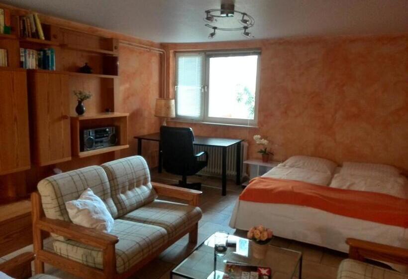 בית מלון כפרי Altes Zollhaus Am Klinikum