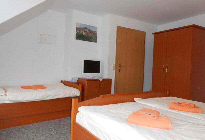 هتل Goldener Engel /pension