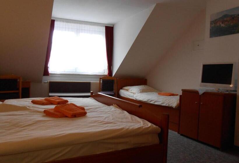 هتل Goldener Engel /pension